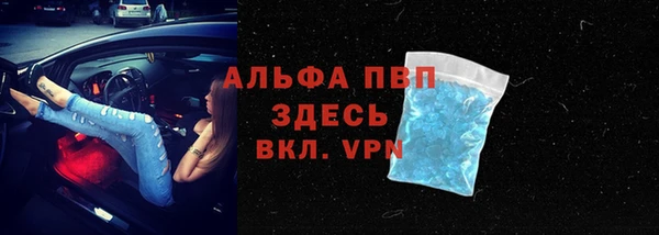 стаф Ладушкин