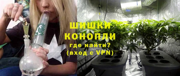 стаф Ладушкин